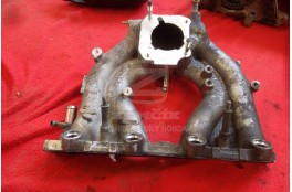 Manifold Manifold