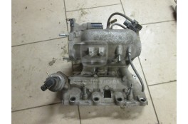Manifold Manifold